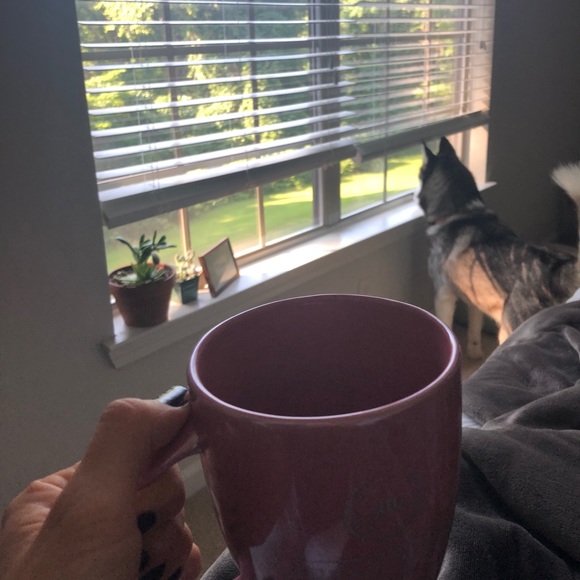 Meet your Posher, Shelby - Picture 3 of 3